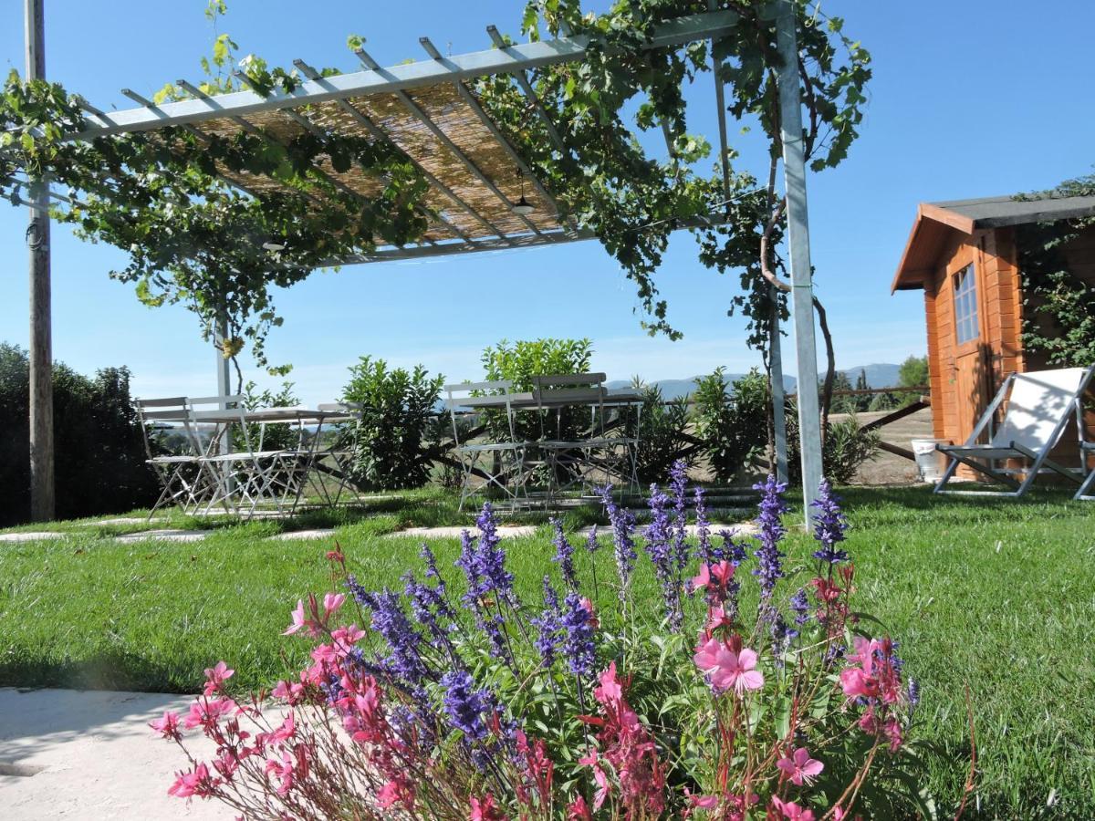 Casa Cardarella Pensionat Beroide Exteriör bild